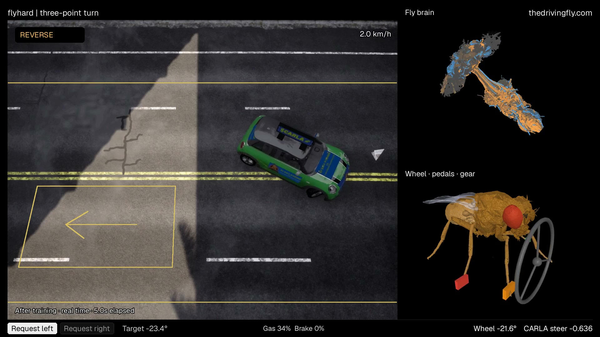 A green Mini reverses across a marked road, with the fly body and computed neural activity shown alongside.